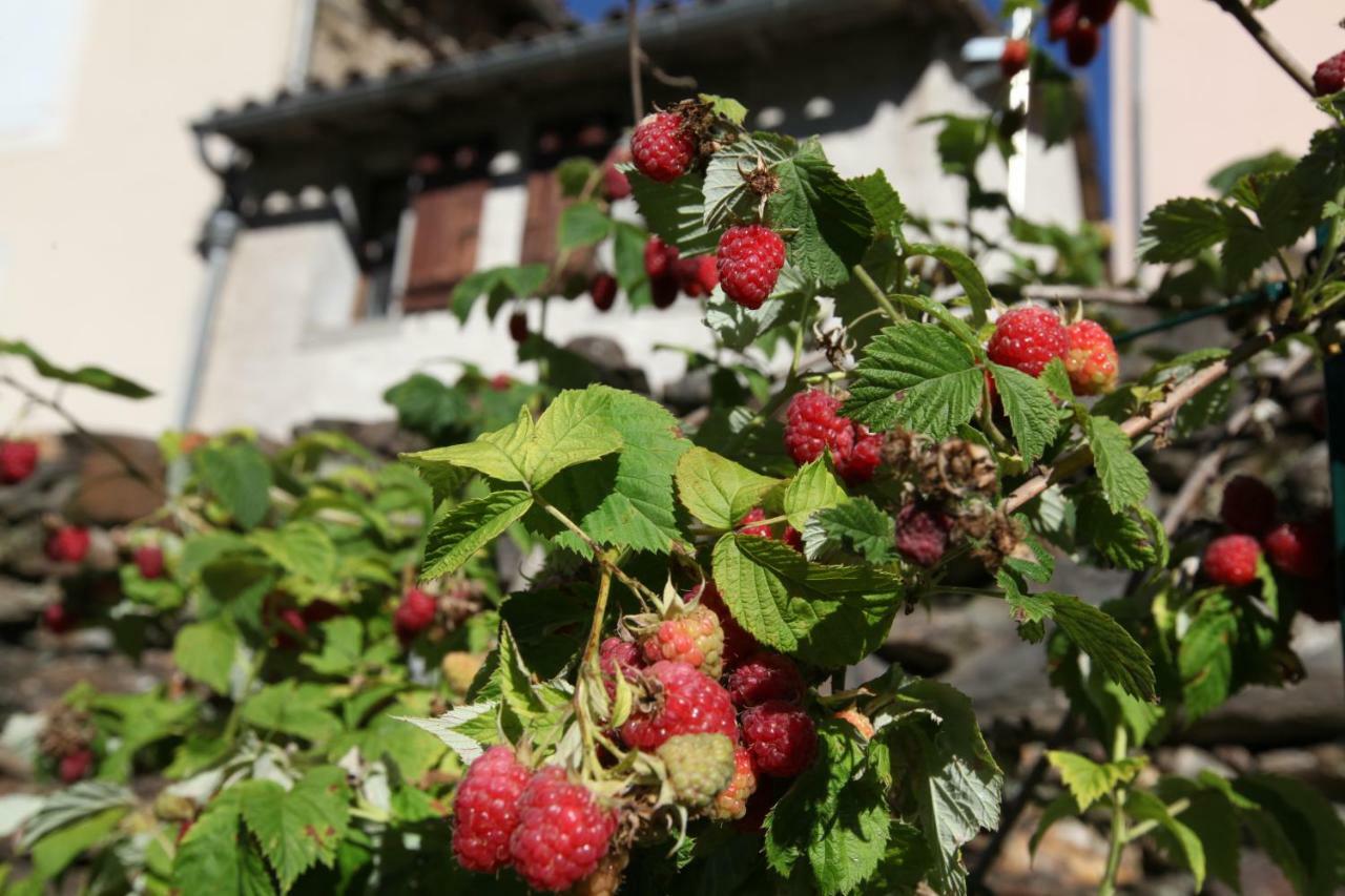 Villa La Caladette Les Plantiers Exterior foto